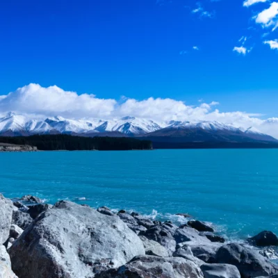 Akaroa South Island Day Tour by TIKI Tours & Travels