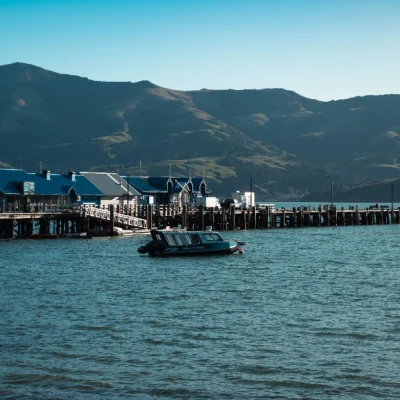 Akaroa South Island Day Tour by TIKI Tours & Travels