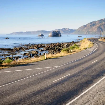 South Island tours - Kaikoura coastal day tour by TIKI Tours & Travels