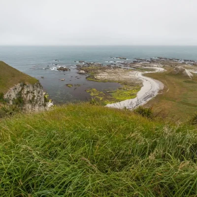 Kaikōura Coastal Day Tour by TIKI Tours & Travels