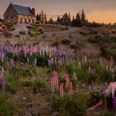Lake_tekapo-3