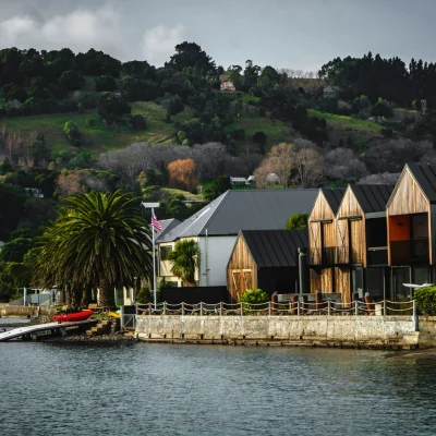 kiwi-tour-home-bg-1