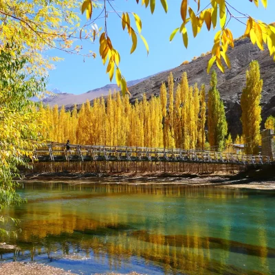 Christchurch City Highlights Tour by TIKI Tours & Travel